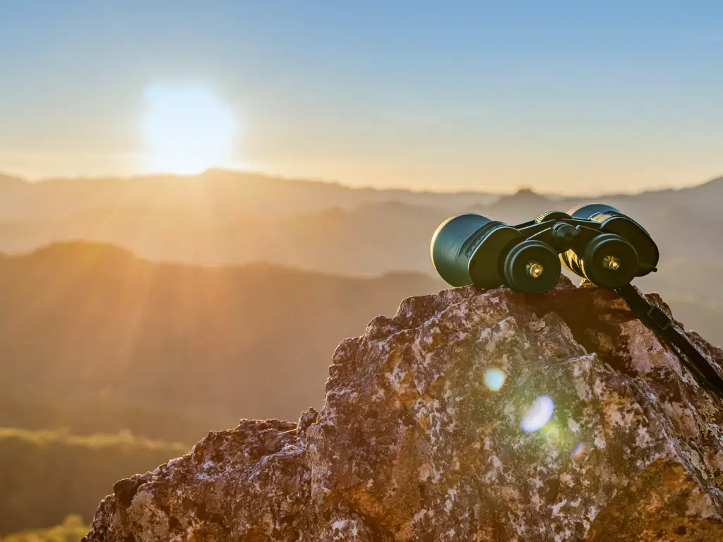 a pair of binoculars rests on a rock representing the idea of searching