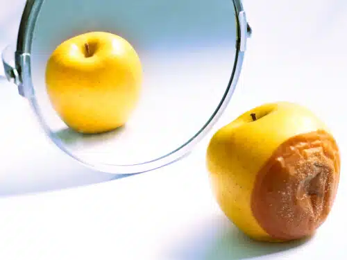 An image of an apple reflected in a mirror. the back of the apple is rotten, representing the idea that quality content is important.